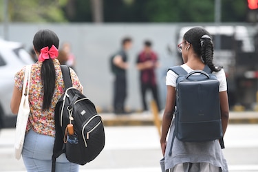Ley de pasantías: ¿puede una experiencia de seis meses abrir la puerta al empleo?
