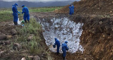 Colombia enfrenta rebrote de aftosa por ganado venezolano de contrabando