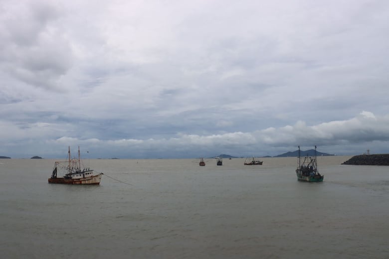 ARAP levanta la veda del camarón y anuncia nueva temporada de pesca hasta enero de 2026