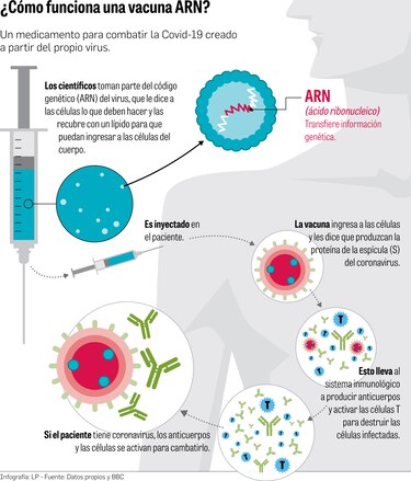 Vacunas contra la Covid-19 exigen una compleja logística