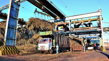 Crece uso de caña para etanol