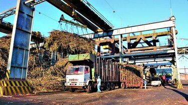 Crece uso de caña para etanol