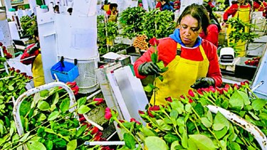 Colombia registra leve alza en tasa de desempleo