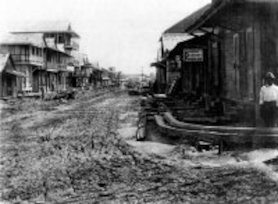 Detalles de las raíces de Colón