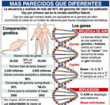De hombres y ratones