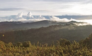 Proyecto de comarca afectaría 60% del PILA