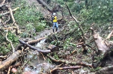 Lluvias dejan 11 muertos y 289 deslizamientos de tierra en Panamá