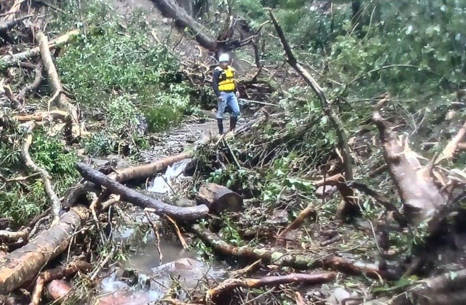 Lluvias dejan 11 muertos y 289 deslizamientos de tierra en Panamá