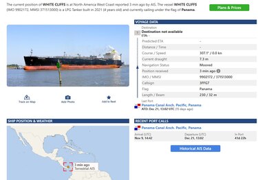 Amador, ¿terminal para cruceros o cargueros?