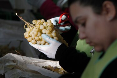 Así se prepara el mundo para despedir 2022 y recibir 2023