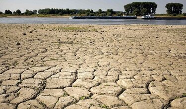 Calentamiento del suelo agrava cambio climático