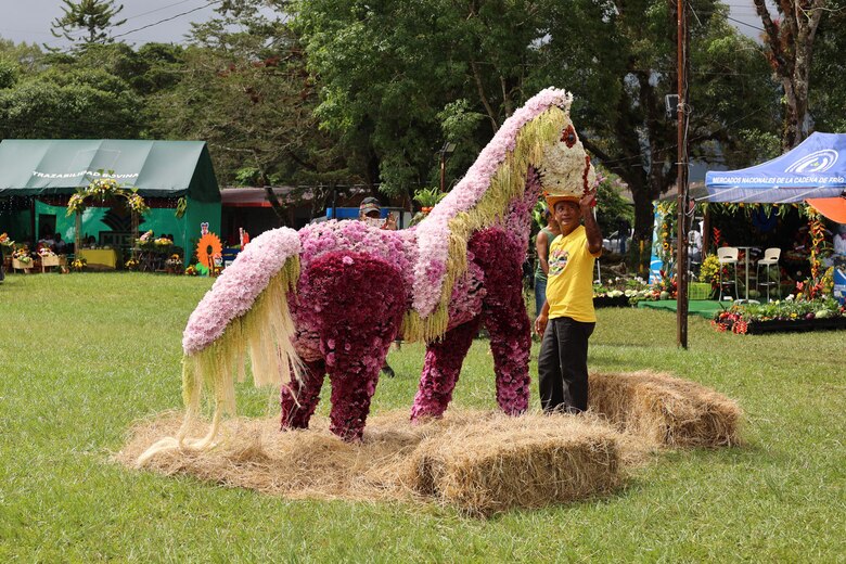 Más de un millón de flores adornan a la comunidad de Volcán en Tierras Altas