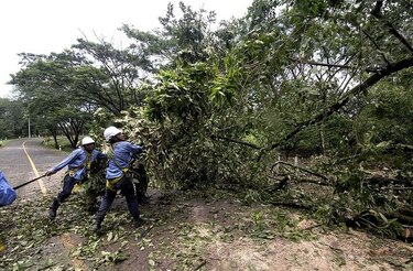 Más de 800 viviendas dañadas por el huracán ‘Otto’ en Nicaragua