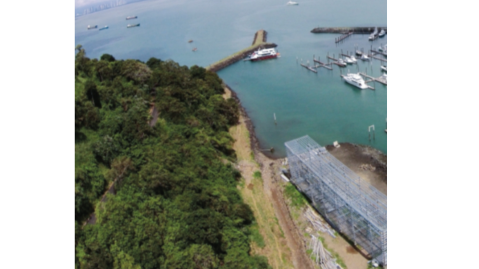 200 cruceros llegaron en la temporada 2018-2019