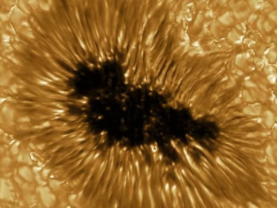 Nuevo método para predecir la fuerza del ciclo solar