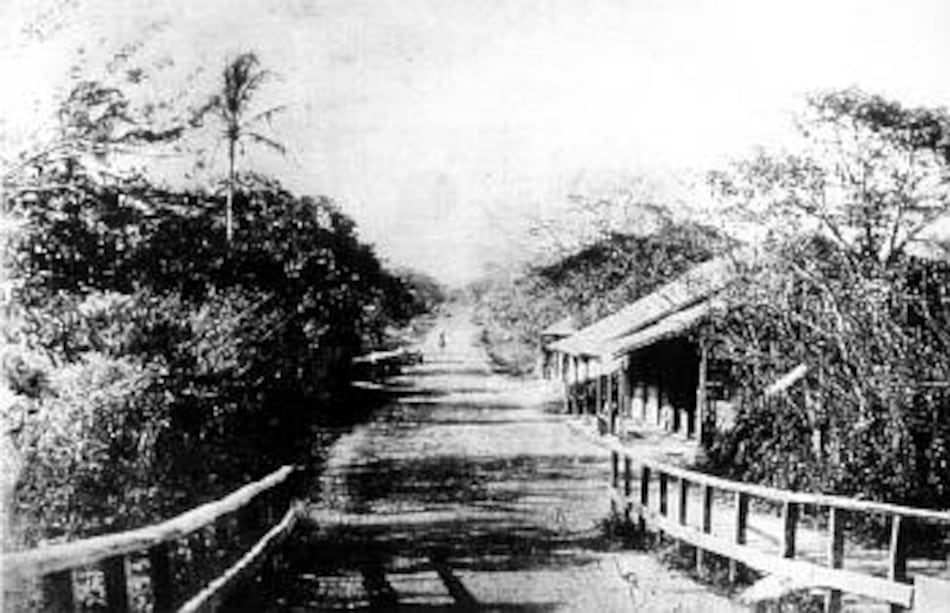 Raíces El puente de Calidonia