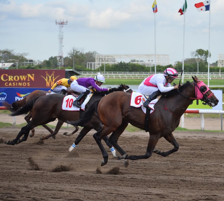 El ejemplar panameño Blessed Ben Hur, con Luis Sáez, se lleva el Clásico Internacional del Caribe