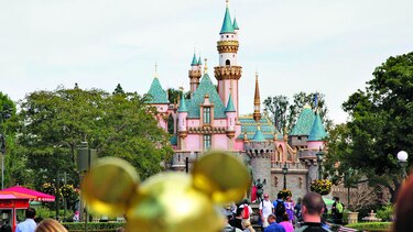 Atrapan casi 100 caimanes en Disney