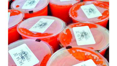 Procesan tomate en Chiriquí