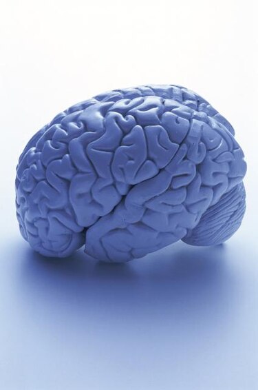 Examen detecta lucidez en algunos cerebros que parecen vegetar