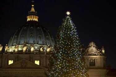 Adornan plaza de San Pedro con pino navideño donado por Alemania