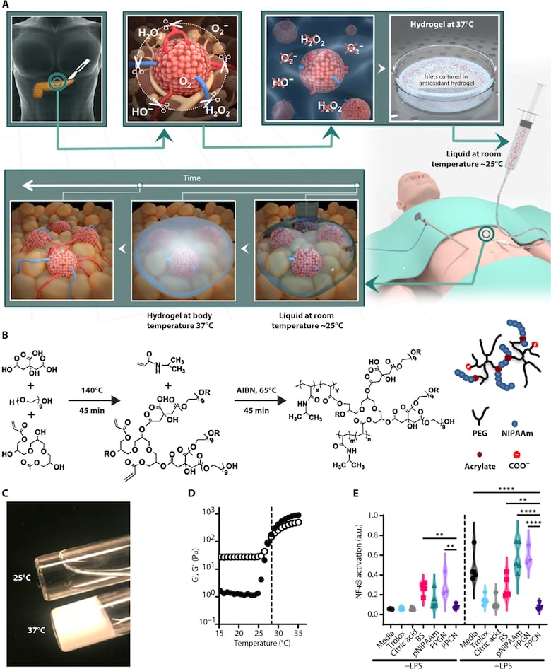 Científico panameño desarrolla biomaterial para combatir la pancreatitis crónica