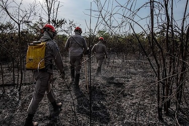 Incendios en Brasil continúan en aumento a pesar de su prohibición