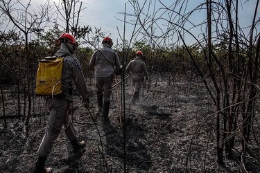 Incendios en Brasil continúan en aumento a pesar de su prohibición