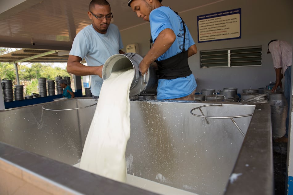 Altos costos de insumos empujan alza de los precios de la leche fluida