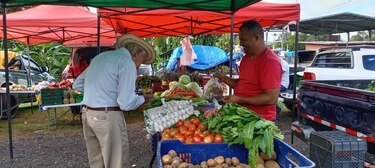 Las Agroferias del IMA estarán abiertas este viernes 14 de noviembre; estos son los puntos de venta