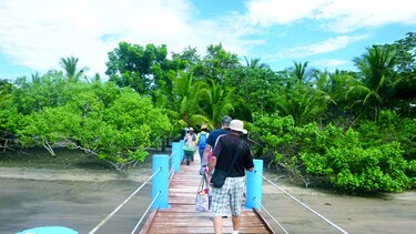 Maravillas en el golfo de Chiriquí