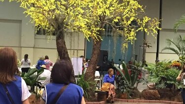 Horticultura y diseño en 'Expoflora' termina hoy en Atlapa