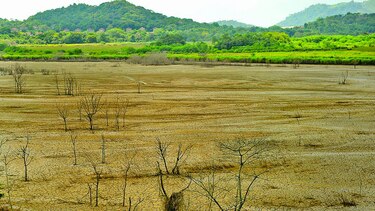 La erosión afecta la producción agrícola