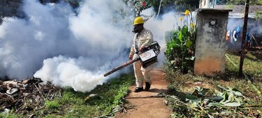 El ‘aedes aegypti’ crea resistencia a insecticidas en Panamá: Instituto Gorgas