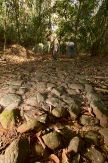 Caminos de la historia