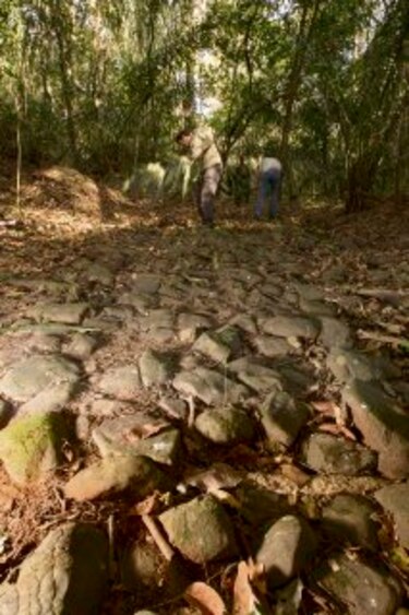 Caminos de la historia