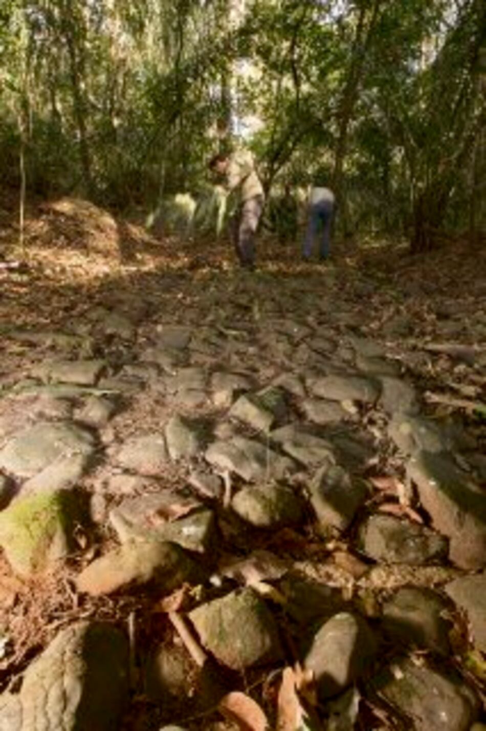 Caminos de la historia