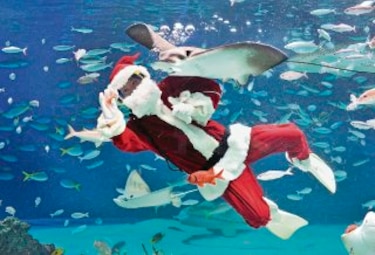 Santa, un hombre ocupado