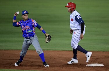 Fedebeis elabora un plan para arrancar el Campeonato Mayor en agosto