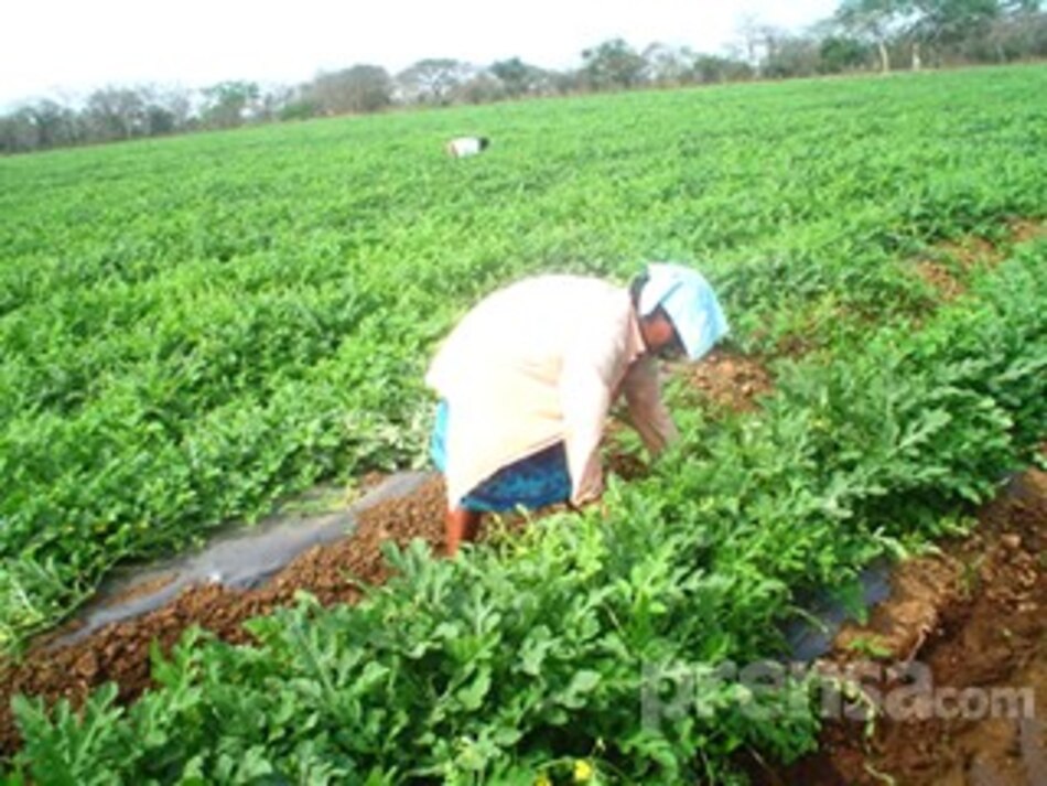 Piden que se agilice la reglamentación del Cefa