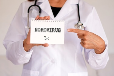 Qué es el norovirus que provocó el brote de gastroenteritis en la provincia de Chiriquí