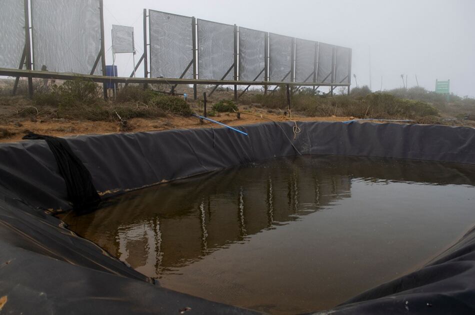 Cada gota de agua cuenta en el árido norte de Chile