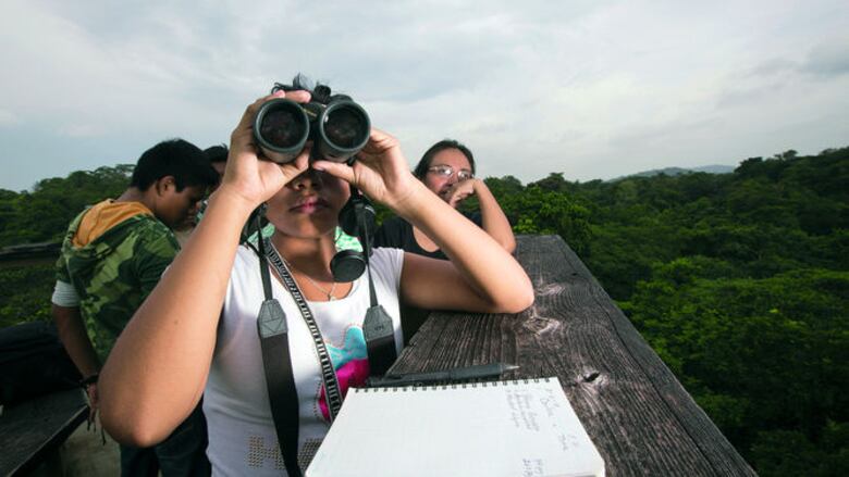 Observación de fauna