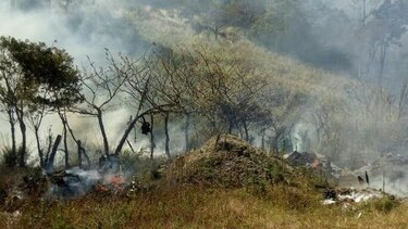 Se registra otro incendio en el sector de Las Vueltas de Volcán