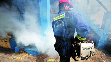 Salud busca reducir índices de infestación de mosquito Aedes aegypti en San Miguelito