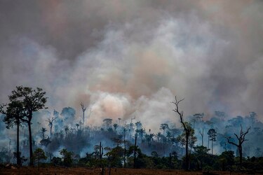 Deforestación de la Amazonía brasileña superó los 10 mil kilómetros cuadrados en 12 meses