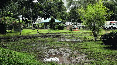 Revelan ofertas para parque