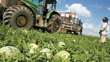 Definen hoja de ruta para reactivar el agro en Azuero