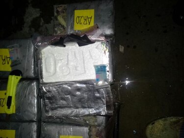 Senafront se incauta de 74 kilos de cocaína en Río Sereno
