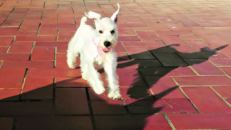 Orión, el futbolista